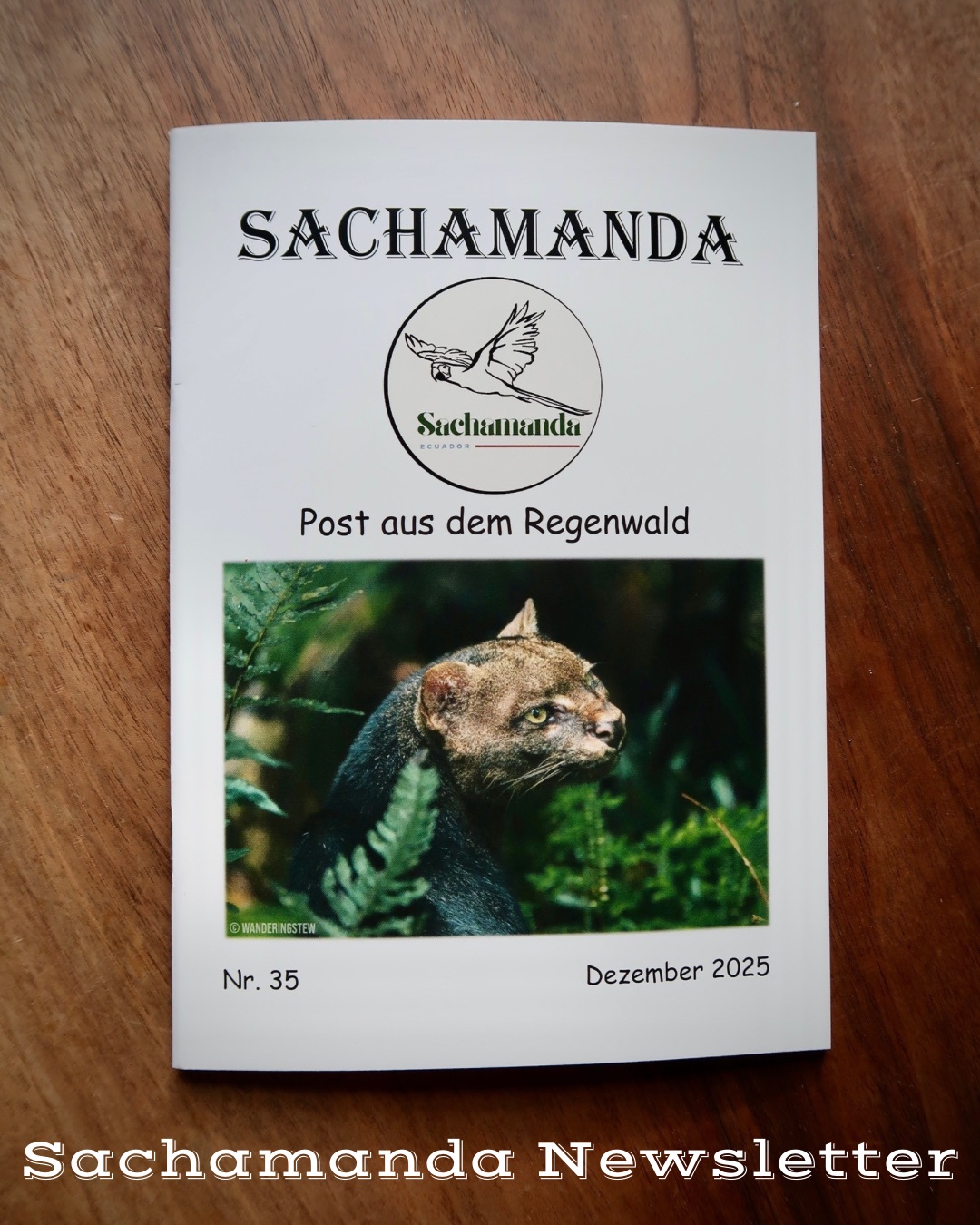 Read more about the article New Sachamanda edition